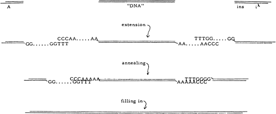 Figure 1.—