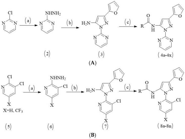 Scheme 2