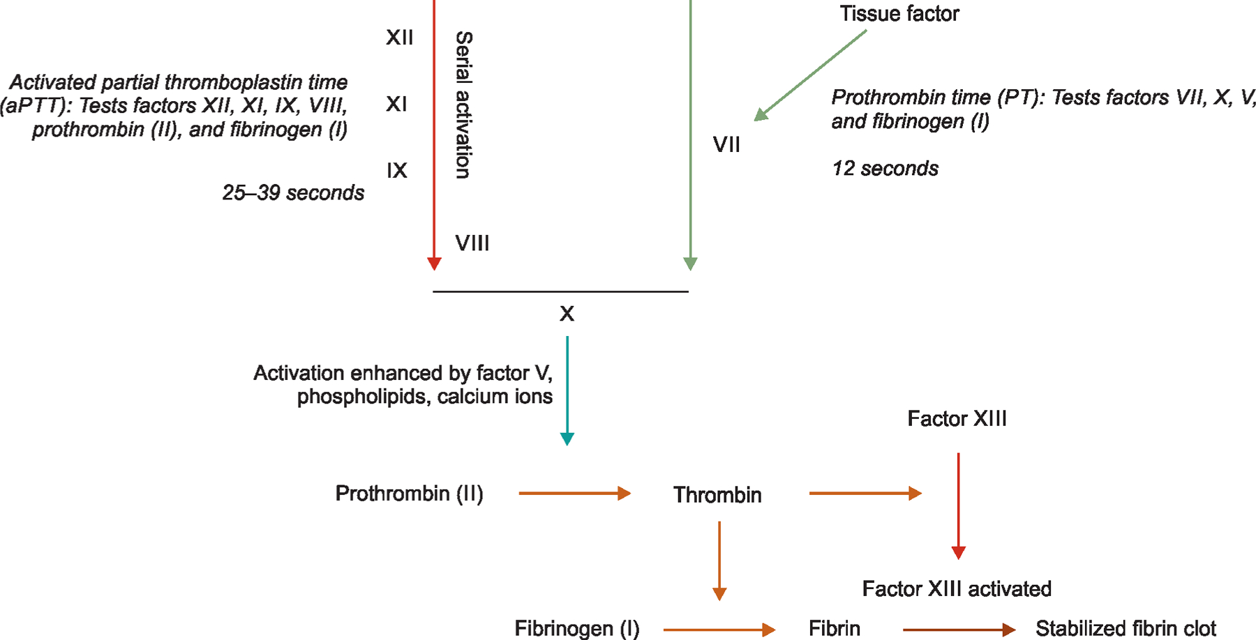 Fig. 1: