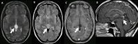 Figure 10.
