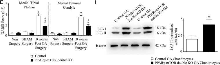 Figure 5