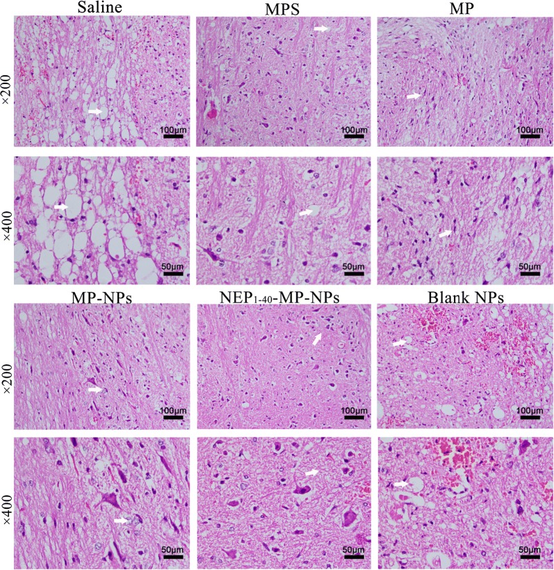 Fig. 6