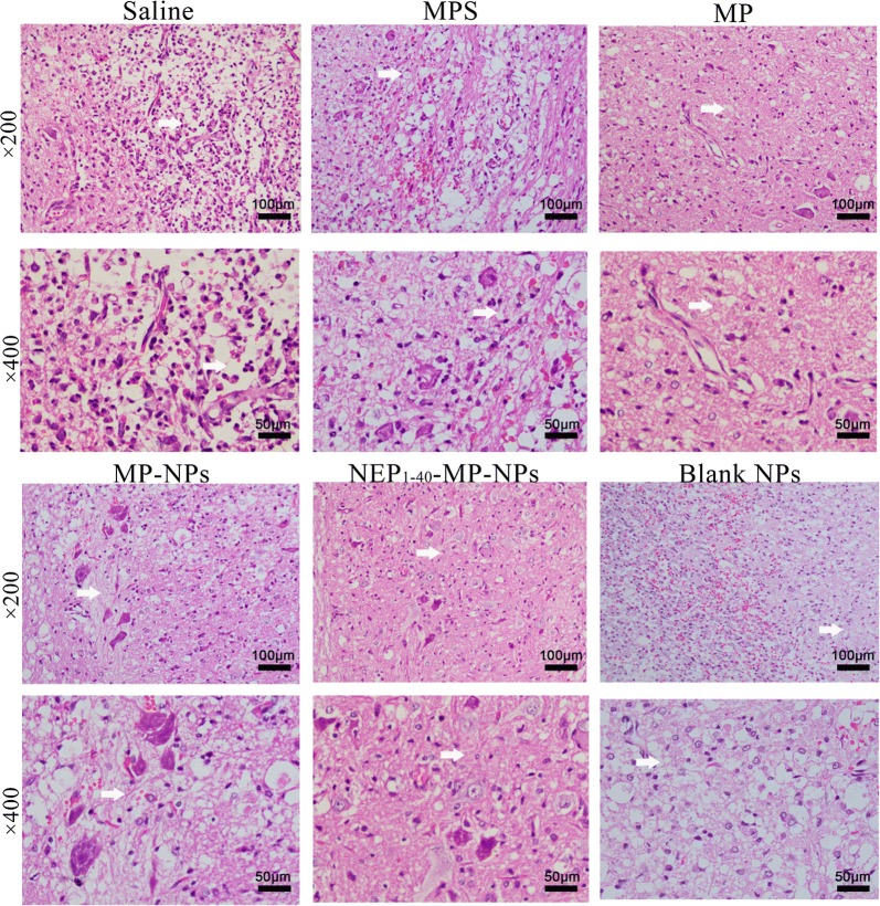 Fig. 7