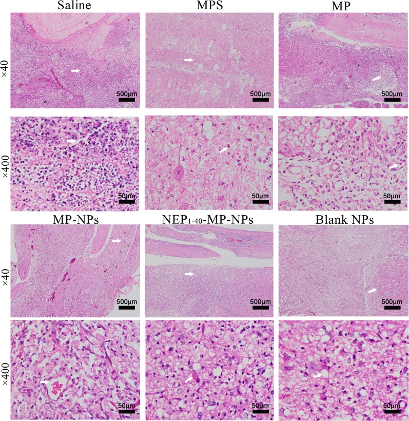 Fig. 8