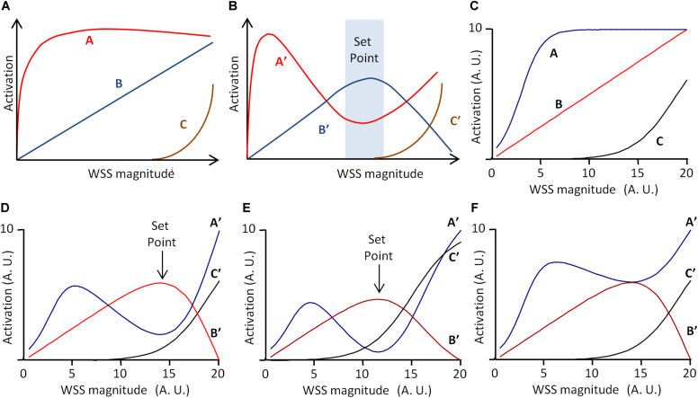 FIGURE 4