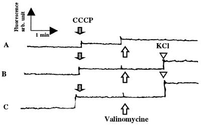 Figure 8