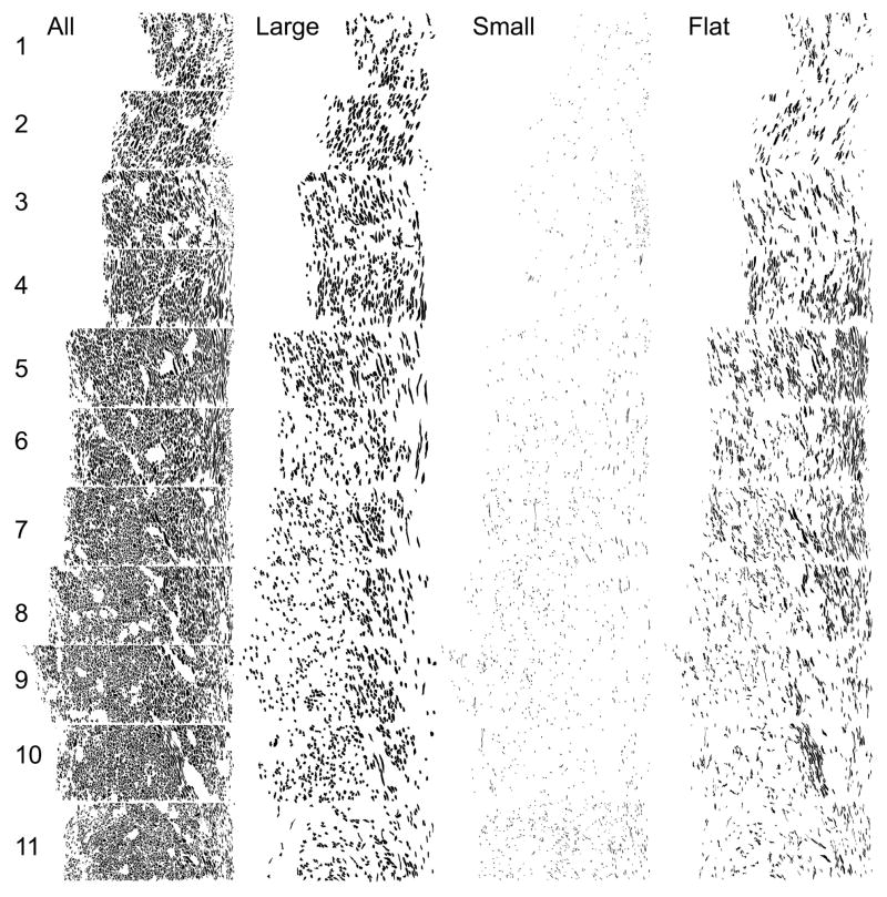 Fig 8