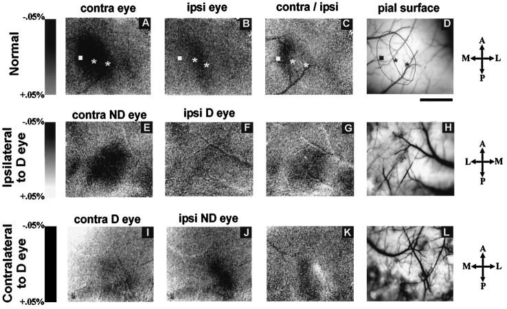 Fig. 12.