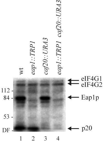 FIG. 3