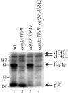 FIG. 3