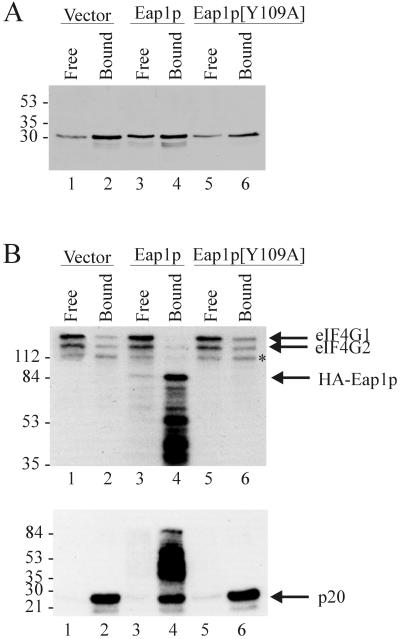 FIG. 6