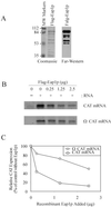 FIG. 7