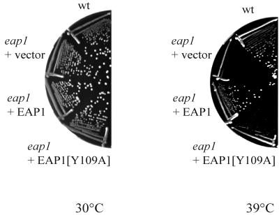 FIG. 8