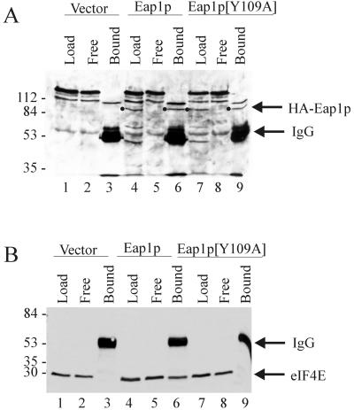 FIG. 5