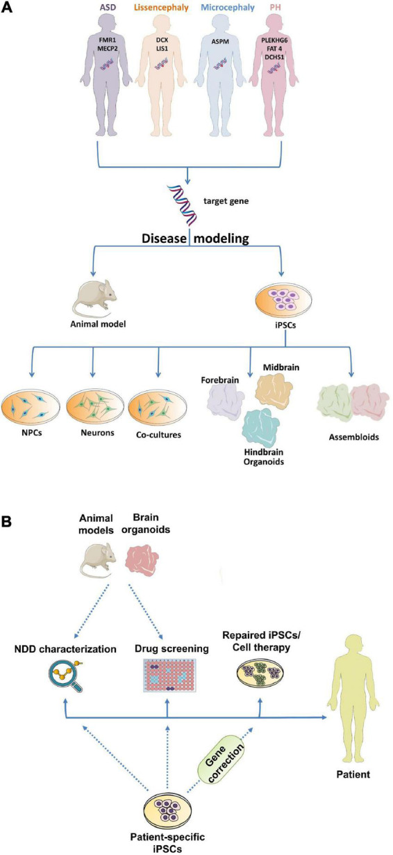 FIGURE 1