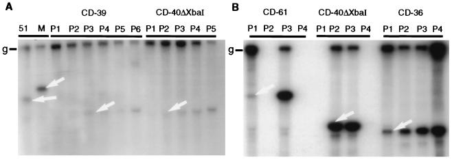 FIG. 5