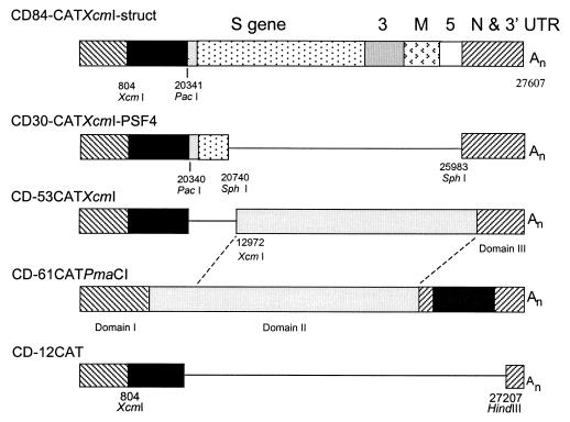 FIG. 6