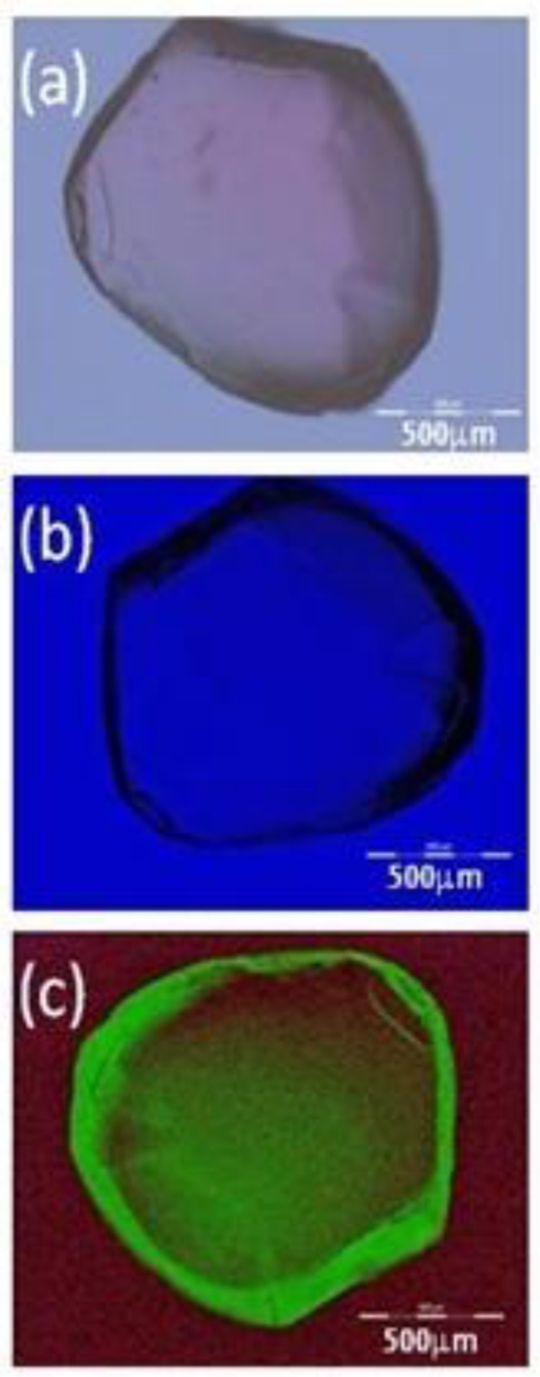 Figure 3.