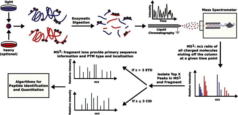 Figure 1: