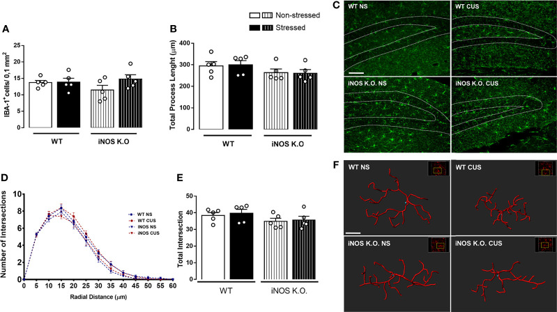 Figure 3