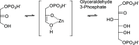 Scheme 10