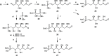 Scheme 3