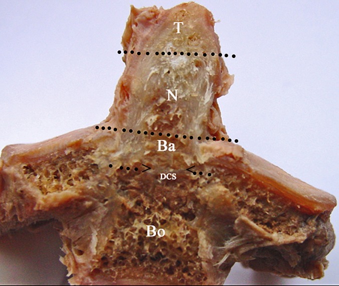 Fig. 4