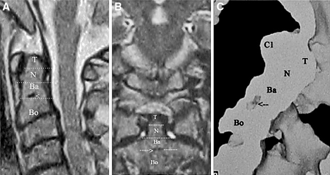 Fig. 2