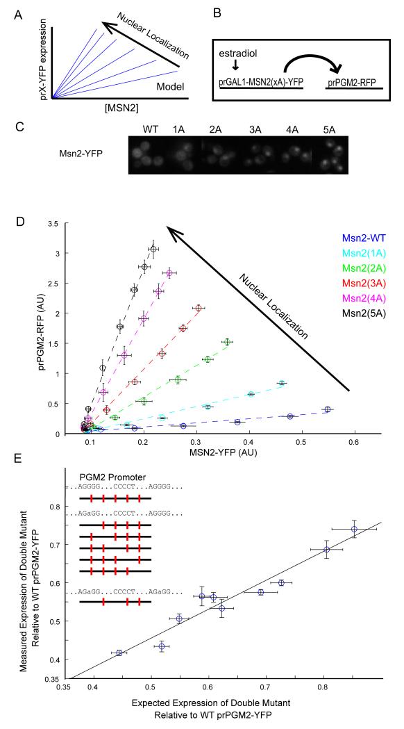 Figure2