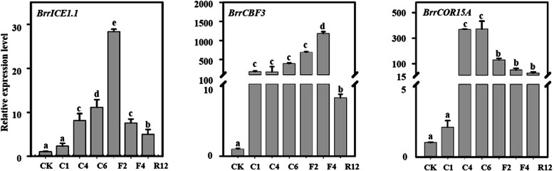 Fig. 7