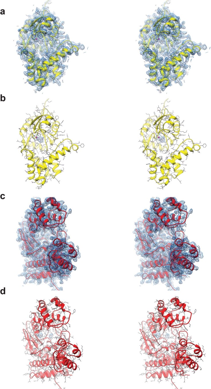 Extended Data Fig. 4