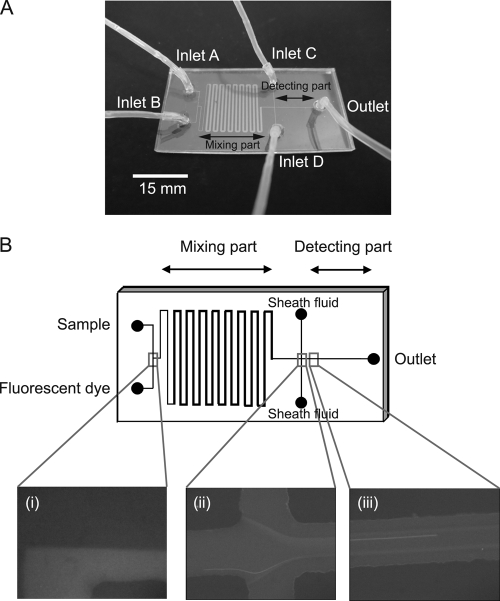 FIG. 1.