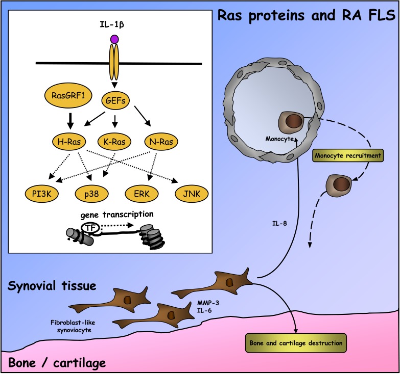 Fig. (1)