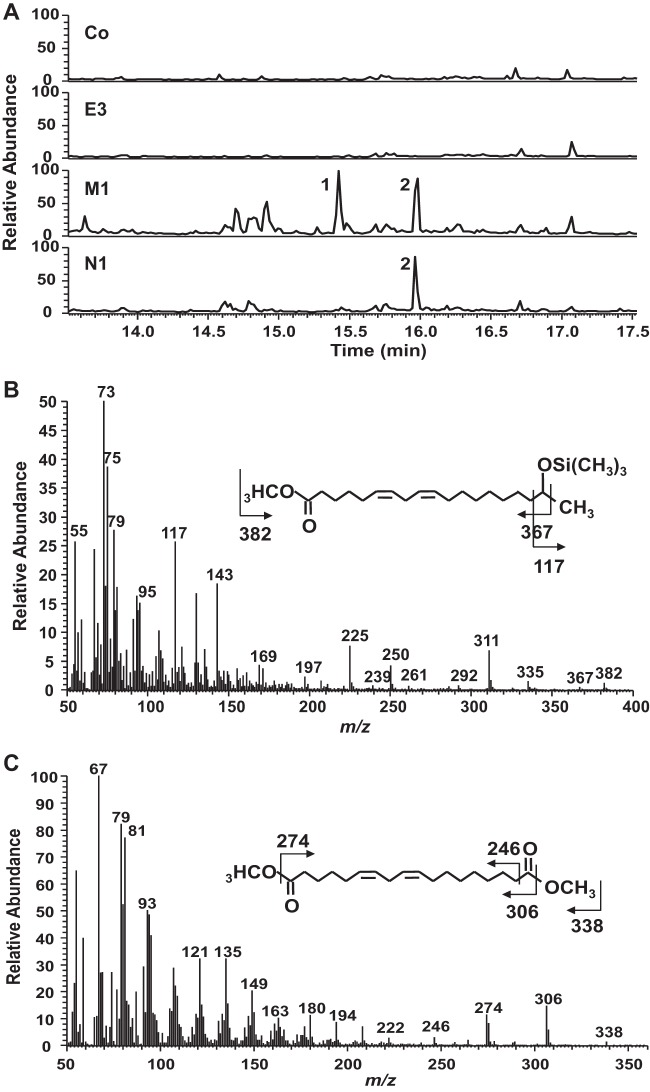 FIG 3