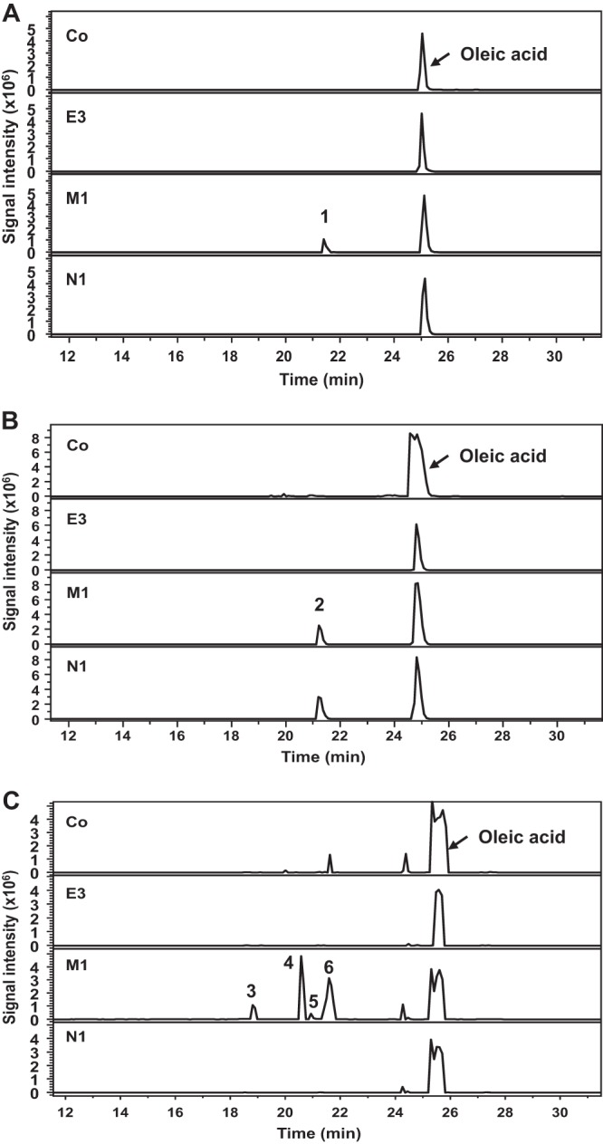 FIG 1