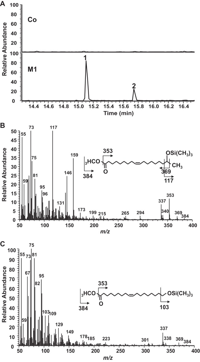 FIG 2