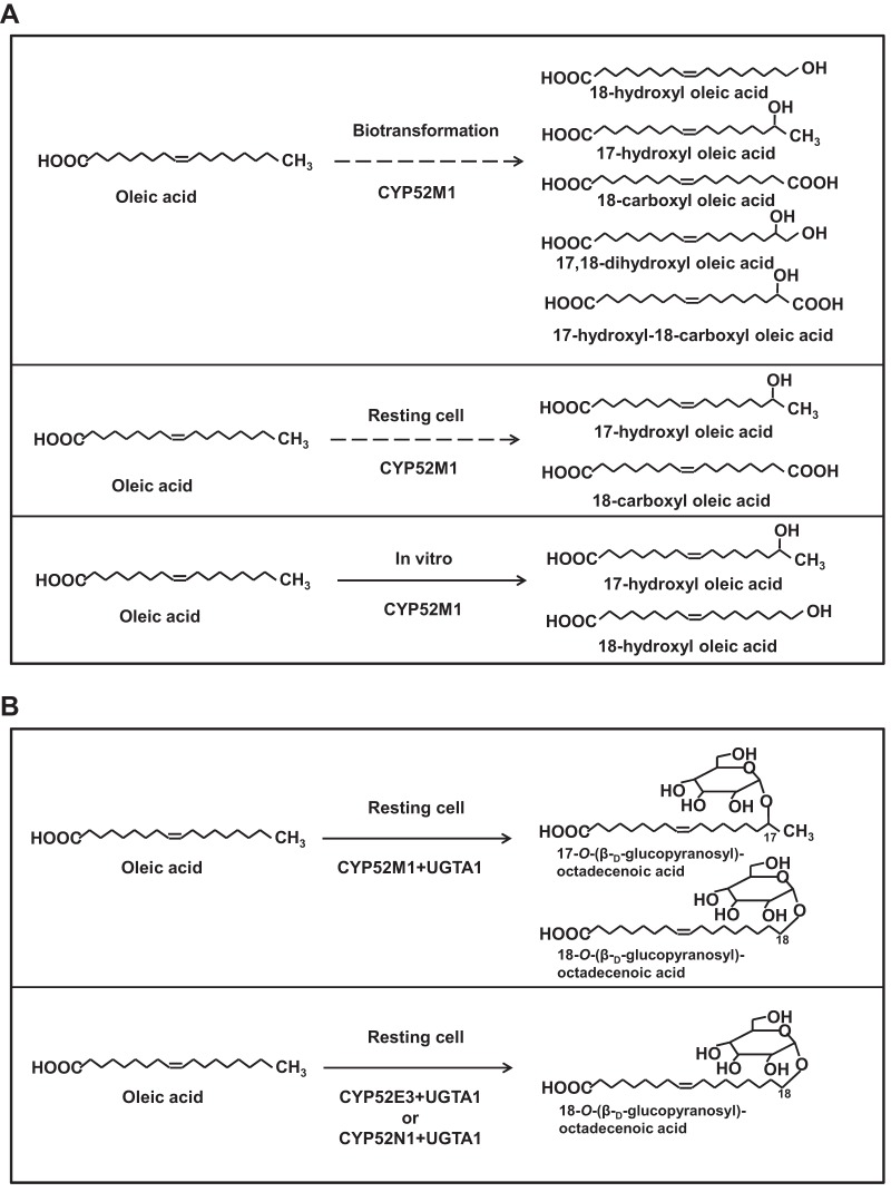 FIG 6