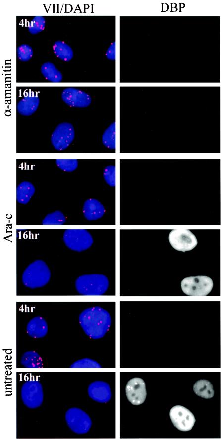 FIG. 9.