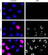 FIG. 8.