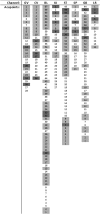 <b>FIG. 2.</b>