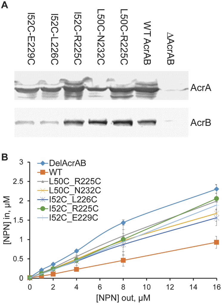 Figure 4: