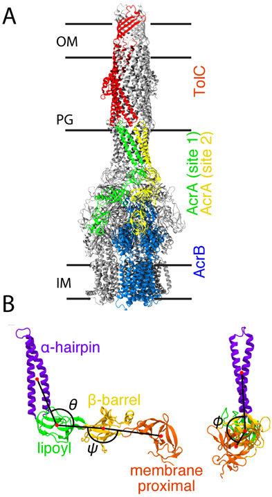 Figure 1: