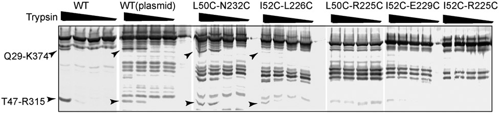 Figure 5: