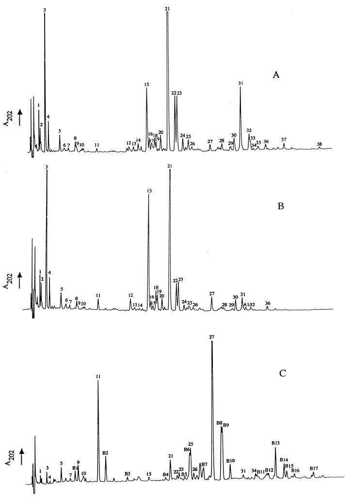 FIG. 1