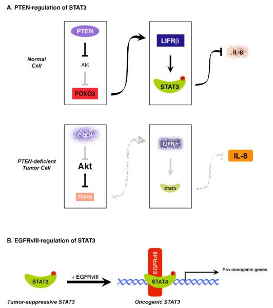 Fig. (1)