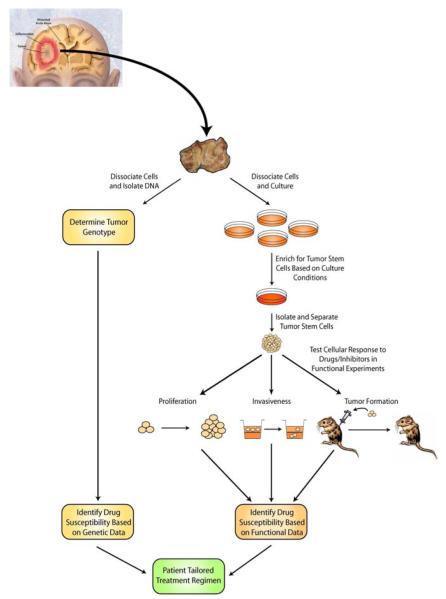 Fig. (2)