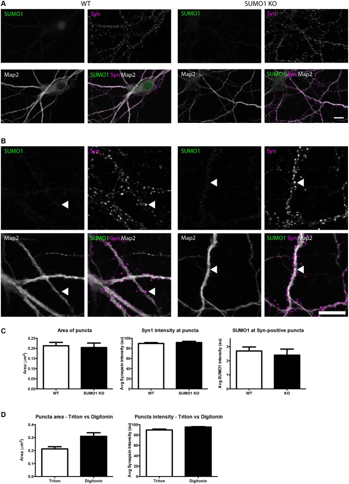 Figure 13.