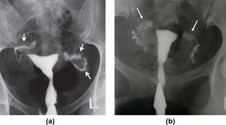 Figure 10.