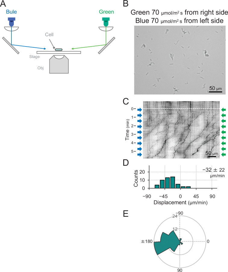 Figure 2—figure supplement 6.