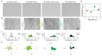 Figure 2—figure supplement 3.